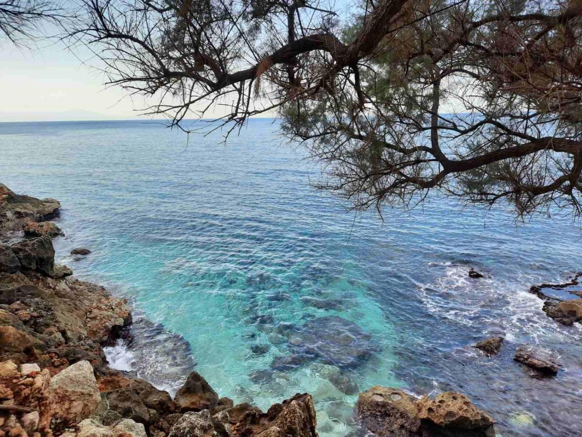 New Sea Escape Boutique Apt-Agii Aposto Li Beach Hriszí Aktí Haniá Kültér fotó