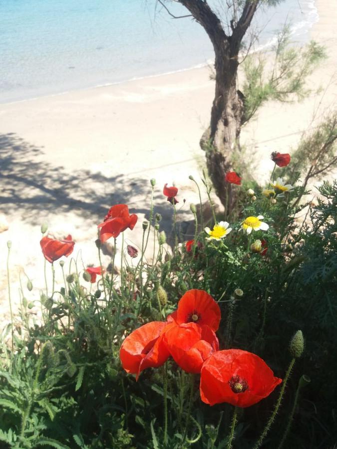 New Sea Escape Boutique Apt-Agii Aposto Li Beach Hriszí Aktí Haniá Kültér fotó